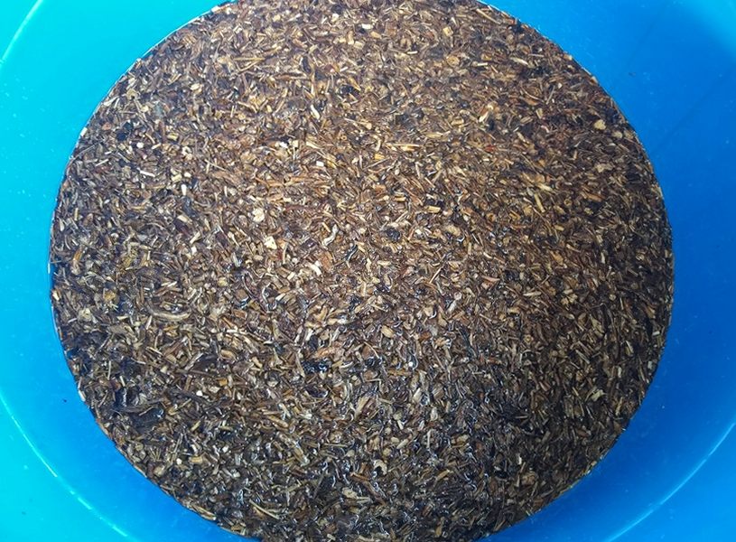 부여 유기농 깐밤 1kg 250g 4ea 생율밤 알밤
